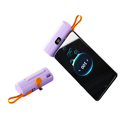 Portable Power Bank