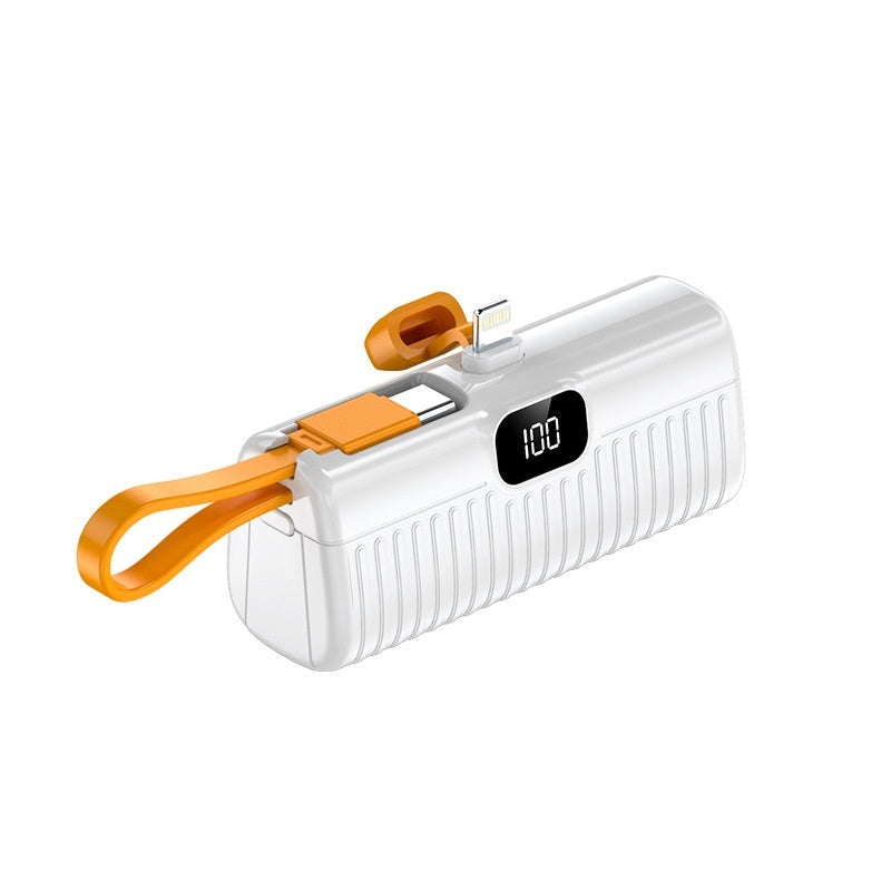 Portable Power Bank
